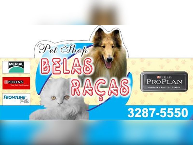 Serviço de Banho e Tosa Delivery Gama - Banho e Tosa Táxi Dog