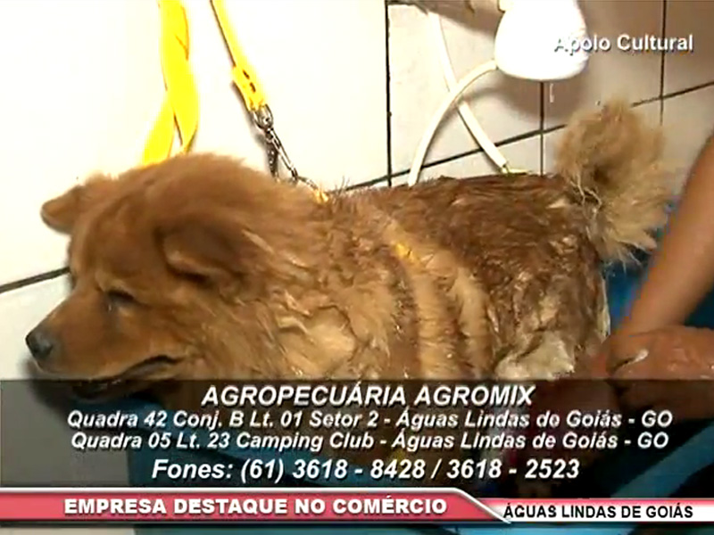 AGROPECUÁRIA AGROMIX