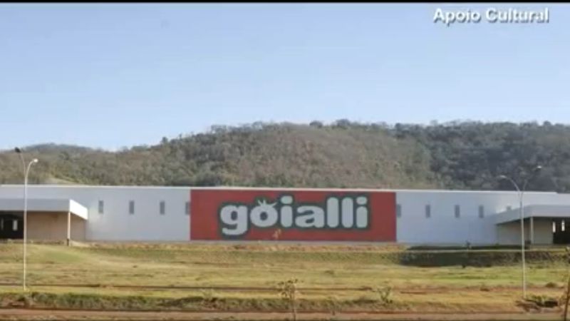 Logo de GOIALLI