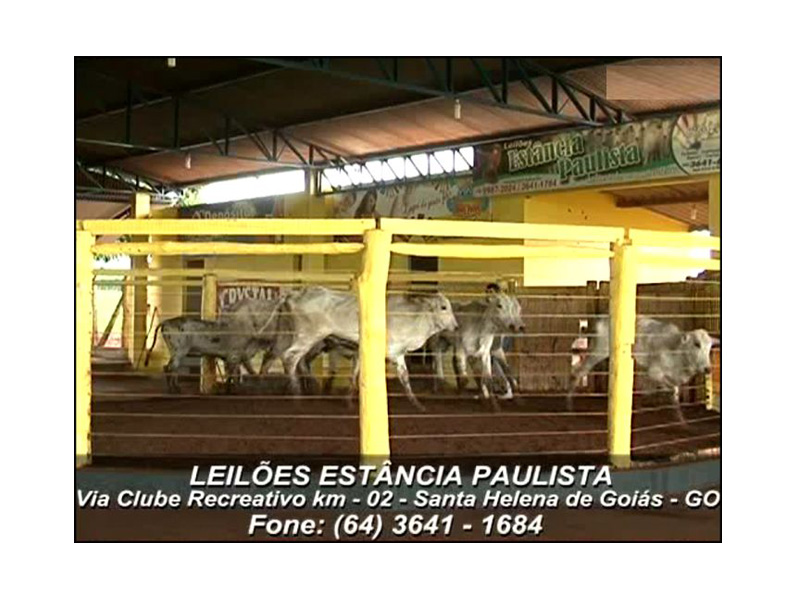 Logo de LEILÕES ESTÂNCIA PAULISTA