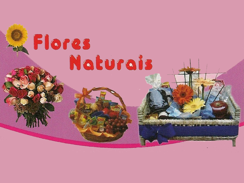 Logo de FLORA FLORES NATURAIS