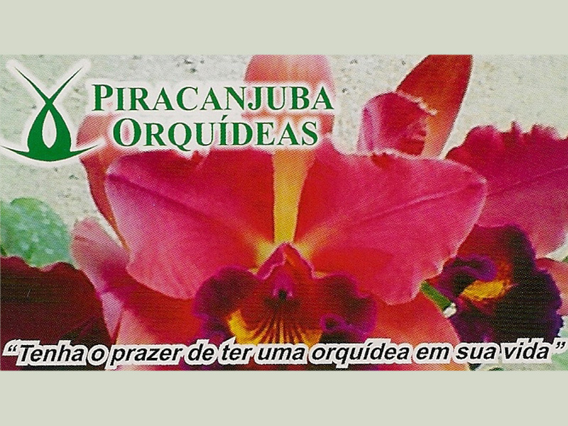 Logo de PIRACANJUBA ORQUÍDEAS