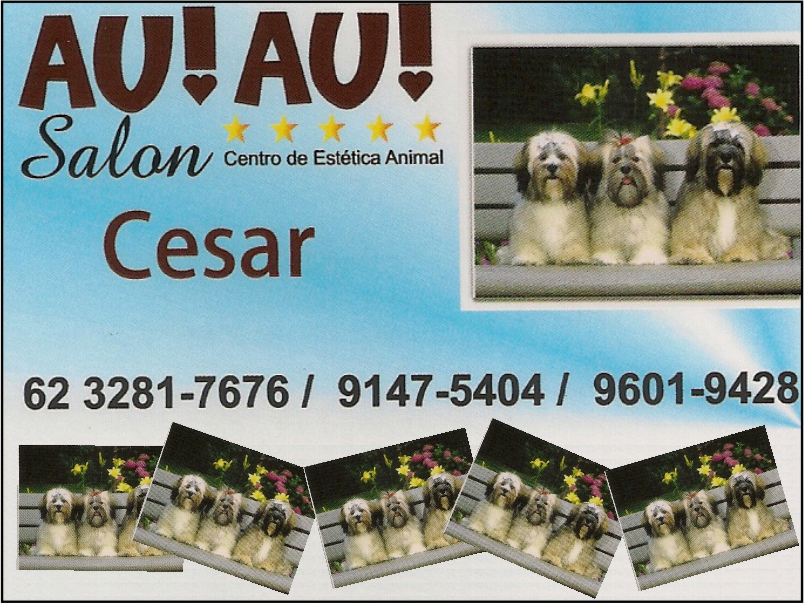 Logo de AU! AU! SALON CENTRO DE ESTÉTICA ANIMAL