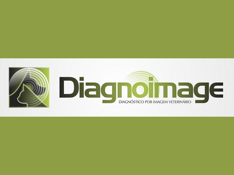 Logo de DIAGNOIMAGE