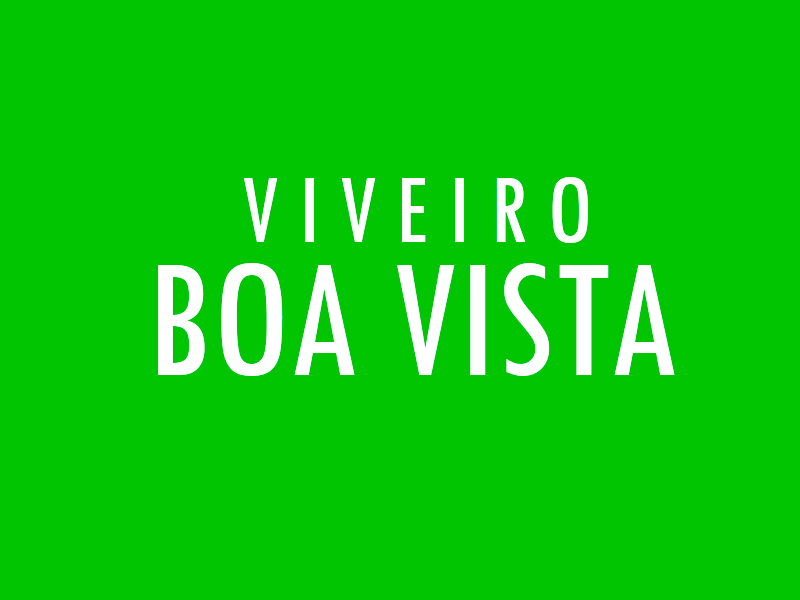 Logo de VIVEIRO BOA VISTA