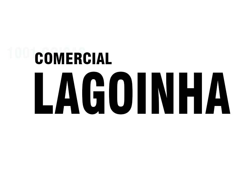Logo de COMERCIAL LAGOINHA